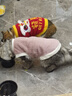 智宙猫咪衣服保暖秋冬季布偶猫背心绒衣宠物小型犬狗狗小猫幼猫防掉毛 高品质兔毛绒-粉色 L (6-9斤内) 实拍图