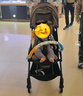StokkeYOYO3 6+ 全能型婴儿推车可折叠遛娃神器轻便婴儿车可坐可躺 yoyo3 6+太妃糖褐色 黑色车架 实拍图