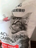 力狼 豆腐猫砂木薯活性炭除臭猫砂吸水结团 【超值囤货】原味豆腐猫砂40斤 实拍图