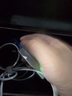 飞猫随身wifi 三网通移动4g无线路由器插卡车载无线上网卡托type-c转接三连神器[一年质保免费换新] 三网切换可插卡（1500g体验流量） 实拍图