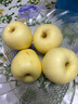 泽华果品山东烟台黄金帅粉面黄元帅苹果宝宝老人水果整箱源头直发包邮 净重4.5斤单果120g+小果 源头直发 实拍图