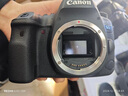 Canon佳能5D4 5D3 5D2 6D2 7D2 5DIV 6D全画幅单反相机二手 佳能6D Mark II 机身/6d2 99新 实拍图