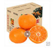 正宗浙江临海涌泉蜜橘桔子新鲜甜无核黄岩装薄皮蜜桔中秋送礼礼盒 【量贩巨实惠】净重9.5-10斤 实拍图
