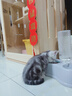 【纯实木】松木猫别墅猫柜 家用室内超大自由空间猫窝 养猫专用笼 经典120*60*60【三层】 【原木】送上门+自己安装+侧门 实拍图