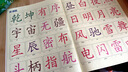 中华字经教材4000字全套书郭保华幼儿童早教宝宝认字无图识字卡片注释本同步训练同步阅读郭宝华早教教材 全套中华字经河南版10本送教案理论送光盘 实拍图