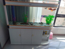 喜灏子弹头鱼缸水族箱客厅家用中型大型1.2米屏风隔断免换水鞋柜鱼缸 包到家安装 1.5米长实木夹板柜一套-底滤 实拍图