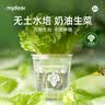 弥鹿（MiDeer）儿童植物种植观察窗阳光房小盆栽玩具小学生幼儿园暑假生日礼物 【水培款1】水培生菜-送营养粉 实拍图
