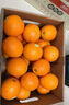 云冠橙 云南冰糖橙 一级果 净重4.5斤 单果约100g 生鲜水果源头直发  实拍图