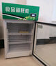 启盟商厨冷藏保鲜幼儿园食品留样柜带锁餐厅食堂家用小冰箱商用展示留样柜 53*53*85cm直冷双锁+温度显示 实拍图