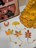 云水墨树叶书签复古精致高级感银杏叶金属叶脉奖励学生精美礼物古典中国风创意高颜值文创纪念品礼品定制 一叶知秋【礼盒装】 实拍图