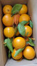 良知农哥【顺丰/JD】【地标认证】正宗德庆贡柑 皇帝柑 新鲜水果 带箱 10斤礼盒大果丨4-5个/斤 实拍图