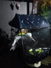 一家有篷电动车挡雨棚篷蓬新款电瓶摩托车遮阳伞冬季防风车棚安全可拆卸 全包围帘款+藏青飞机 有后视车型（PBY) 实拍图