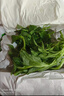 良知农哥【顺丰】山东冰草 新鲜冰菜沙拉蔬菜冰叶 健康轻食 5斤 实拍图