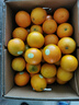 云冠橙 云南冰糖橙  一级果 净重10斤 单果约100g 生鲜水果源头直发 实拍图