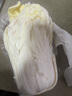 【顺丰】山东有机胶州大白菜 青岛三里河原产炖菜 新鲜当季蔬菜 2颗  8-10斤 实拍图