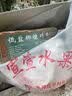 九千谷椰砖营养土1个装通用型椰土壤椰糠粗椰壳种花种菜650g/块3521 实拍图