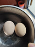京喜加 鲜鸡蛋 土鸡蛋  五谷喂养 山林自养鸡蛋早餐 生鲜超市买菜40g 【大促】2枚福利 实拍图