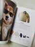 柴犬绅士：都市型男穿搭指南（新版） 实拍图