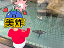 巴拉巴拉童装婴儿毛衣针织衫男童女童2025新款春装宝宝儿童萌趣衣服拜年服 中国红60611 100 实拍图