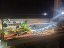 贝森（BESSN）25新款金晶超白玻璃侧滤桌面溪流缸自循环过滤升级干湿分离鱼缸 120*20*20cm 8mm基础套餐2.0升级款 实拍图