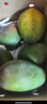 京鲜生 攀枝花凯特芒果 净重8.5斤 单果400g+ 生鲜水果源头直发 实拍图