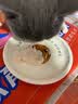 LEGENDSANDY蓝氏猫粮乳鸽10KG猎鸟乳鸽繁育20斤冻干生骨肉全价粮 10kg送蓝氏主食罐*12+试吃*1 实拍图