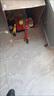 阿莫尔狗狗玩具耐咬磨牙幼犬球宠物发声惨叫鸡狗发声玩具训练逗狗互动 磨牙六件套 中型犬适用 实拍图