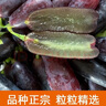 芬岚【顺丰隔日达】新鲜手指葡萄正宗蓝宝石美人无籽黑河北葡萄 净重2斤+防震葡萄袋 老农精选-顺丰配送上门 实拍图