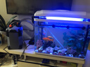 sobo松宝过滤桶鱼缸过滤器外置滤桶缸外过滤系统水族箱吸鱼屎净水器 SF-850F +【豪华滤材套餐】60%鱼友优选 过滤桶带杀菌灯 实拍图