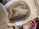 【高洁士】沙发清洗上门 布艺窗帘清洁 干洗地毯 家用商用床垫杀菌除螨服务 家用普通地毯清洗(5平内) 北京市 实拍图