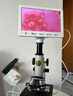 凤凰（Phenix）生物显微镜XSP-06光学放大1600倍 中小学生科学实验家用便携儿童 XSP-06-1600X 套餐三：特配+7寸显视屏一体屏 实拍图