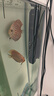 森森（SUNSUN）龙鱼缸加热棒自动恒温变频省电加温棒水族箱加温器 急速加热【500W变频省电】推荐200-300L水 实拍图