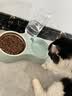 贝初众猫碗宠物碗狗碗狗盆猫咪盆喝水吃饭食盆水盆一体自动饮水机小型犬 绿色中号 耐磨易洗优质不锈钢 可拆卸设计 实拍图