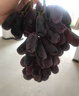 教蔬鲜生【顺丰直达】现摘无籽蓝宝石新鲜葡萄金手指黑美人拇指黑提子 3斤净重单果【10mm-15mm】 实拍图