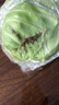 小汤山 有机圆白菜 约600g 有机蔬菜基地种植当天采摘 实拍图