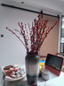 【红色招财银柳】干花真花鲜枝耐寒年宵花水培花卉室内摆放装饰花 60厘米【30支】送灯笼 实拍图