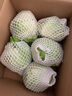千牛优福球生菜3-5斤 汉堡圆生菜西生菜轻食沙拉煎饼西餐食材新鲜蔬菜 5斤装 实拍图