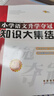 小学语文升学夺冠知识大集结(全新加强版) 68所名校图书B 实拍图