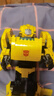 乐高（LEGO）10338 变形金刚大黄蜂 创意IDEAS成人粉丝收藏款积木玩具生日礼物 实拍图