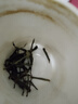 润靖云南普洱茶冰岛甜古树普洱生茶纯料头春头采传统工艺果香韵味丰富 冰岛甜24年春茶 30g(品鉴装) 实拍图
