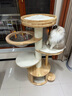 兽牌美居实木猫爬架不占地小户型猫架多层猫树猫窝猫抓板一体带太空舱 小爪乐园【大型猫适用】 实拍图