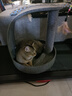 兽牌拱桥剑麻猫抓板不掉屑立式猫爬架猫磨爪猫玩具猫窝冬季保暖带垫子 亚麻灰【弧形剑麻抓板】 实拍图
