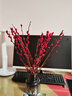 开时果 银柳鲜枝干花年宵花卉 红色真花福桶银柳水培植物室内装饰鲜花 A级银柳45cm20枝（喜庆红）+小灯笼2个 实拍图