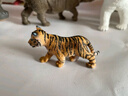 思乐（Schleich S）仿真动物模型 老虎狮子狼豹白虎猞猁男女孩儿童玩具生日礼物3+ 白色老虎幼崽14732 实拍图