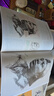 8开《领悟素描头像》书籍大八开临摹范本人物绘画结构五官解析对画照片教程美院联考美术高考名师示范教材正版 实拍图