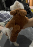阿莫尔猫咪衣服加厚秋冬装保暖棉衣泰迪比熊雪纳瑞小型犬狗狗宠物四脚衣 灰色变身装 M(建议5-8斤具体参考胸围背长） 实拍图