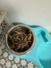 江小傲冻干猫咪零食鹌鹑多春鱼满籽即食宠物猫零食鳕鱼纯肉冻干零食 鹌鹑冻干3包(240g) 晒单实拍图
