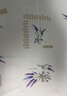 MEIWA桌布防水防油免洗pvc餐桌布布艺台布餐桌垫茶几布140*140cm薰衣草 实拍图