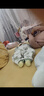 威尔贝鲁（WELLBER）新生婴儿衣服男女宝宝儿童装哈衣全棉连体衣25春 果果熊猫73cm 实拍图