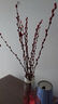 开时果 银柳鲜枝干花年宵花卉 红色真花福桶银柳水培植物室内装饰鲜花 福利推荐【60cm】银柳10枝 实拍图